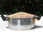 Bier Brauen : Zutaten