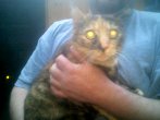 Events : 2012 : Bier Brauen : Brau Katze Chanel