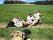 Events : 2024 : Vatertag : Oberlenkenreuth Mauth : 5