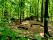 Events : 2026 : 354 : Wanderung Betzenstein : 2