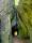 Events : 2026 : 354 : Wanderung Betzenstein : 3