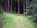 Outdoor : Wandern : Oberfranken : Creussen : Roter Main Pfad : 06 : Bürgerwald Forstweg Ende
